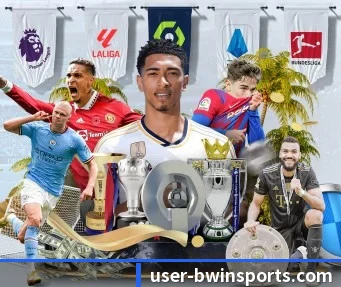加入我们, 开启不一样的体育体验(bwin)