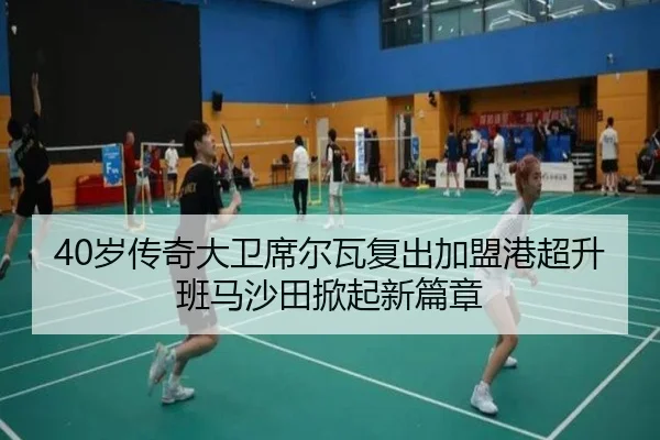 40岁传奇大卫席尔瓦复出加盟港超升班马沙田掀起新篇章（bwin）
